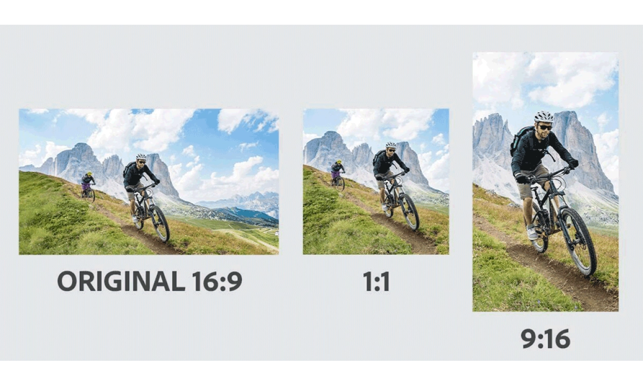 Adobe Photoshop Elements & Premiere Elements 2025