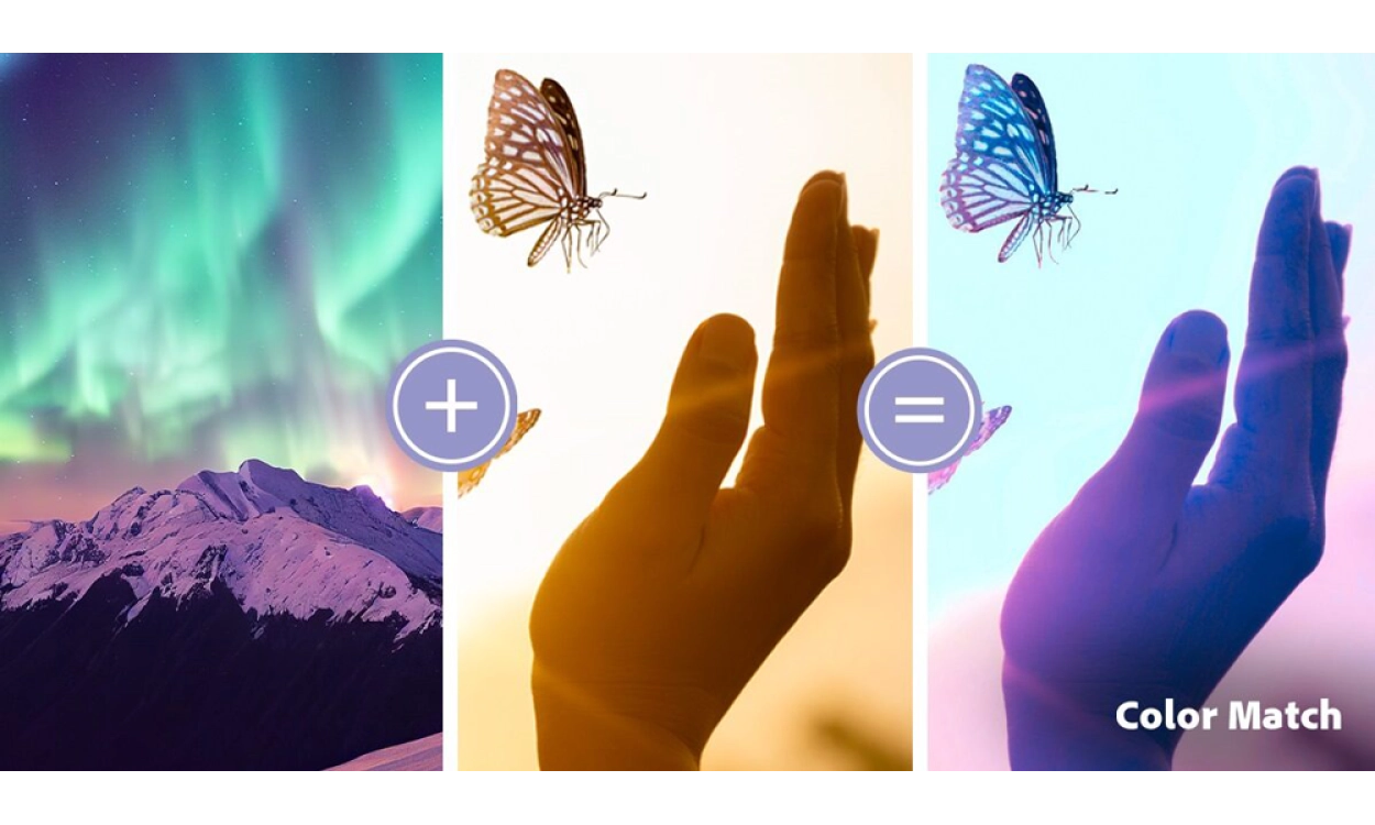 Adobe Photoshop Elements & Premiere Elements 2025