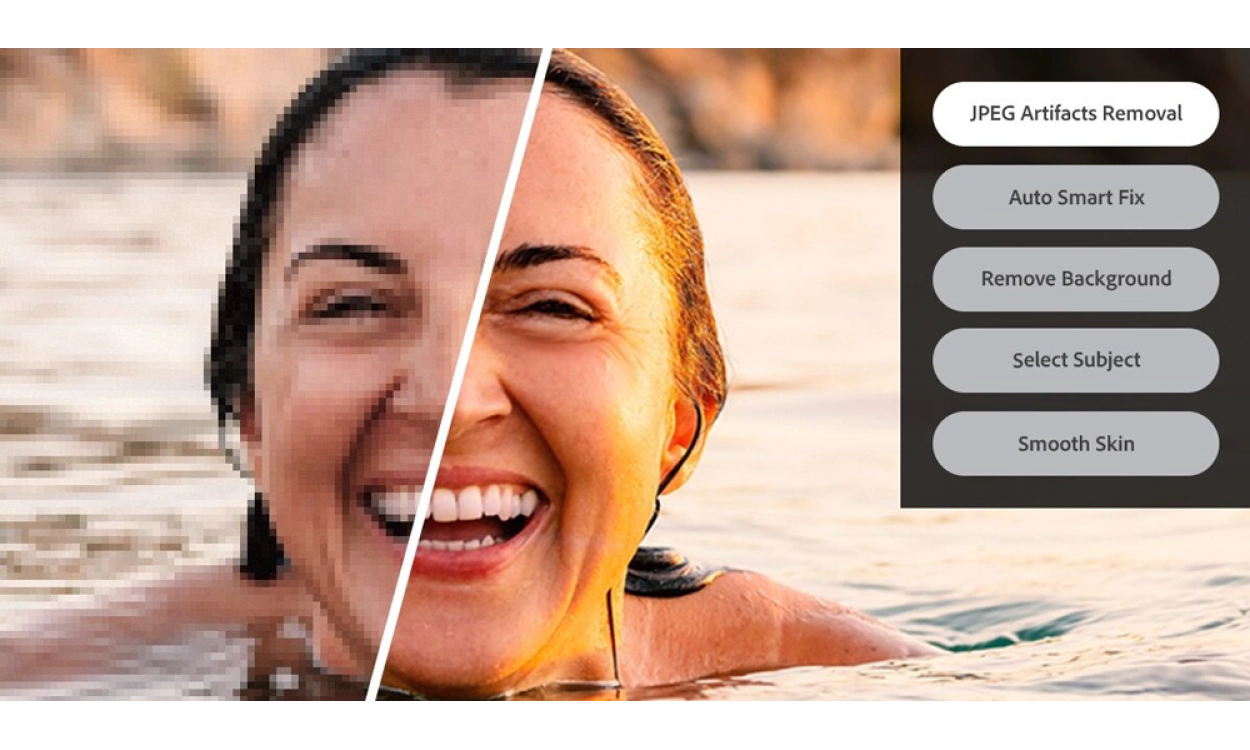 Adobe Photoshop Elements & Premiere Elements 2025
