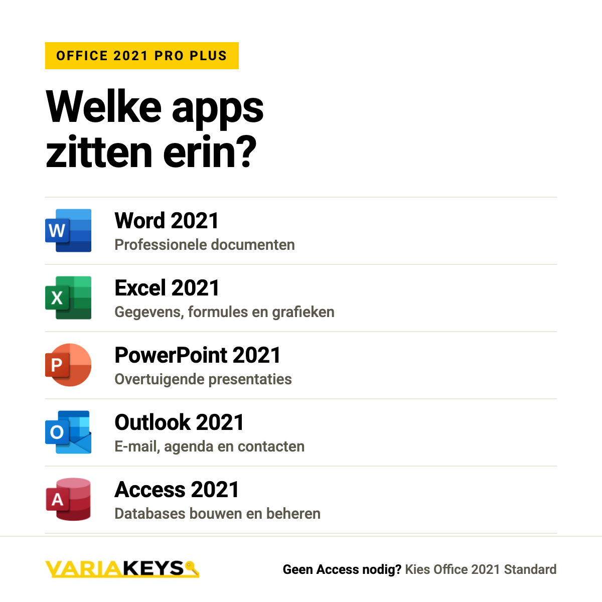 Microsoft Office 2021 Professional Plus
